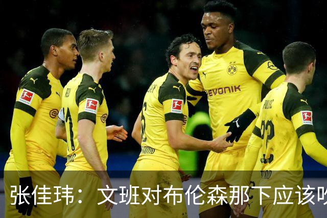 张佳玮：文班对布伦森那下应该吹恶犯 这意味着如果有G6他没法打